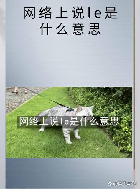le网络语是什么意思缩略图