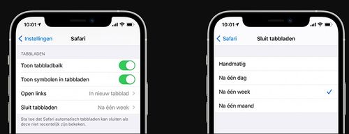 ipad关闭safari浏览器游戏截图