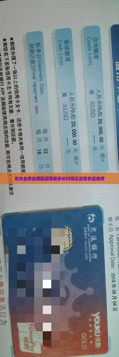 京东金条可以申请延期还款吗图标