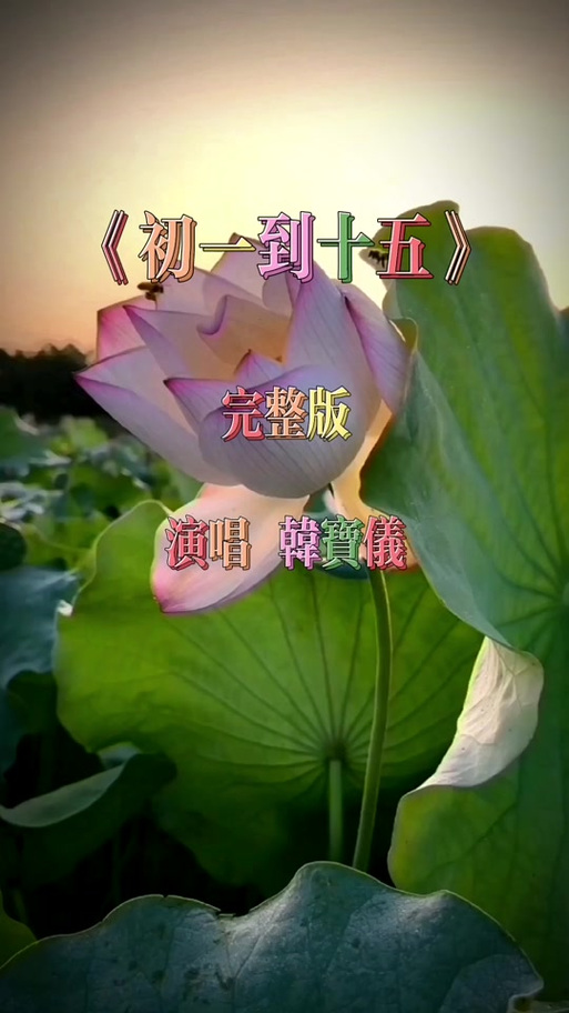 搜谱网 歌曲简谱游戏截图