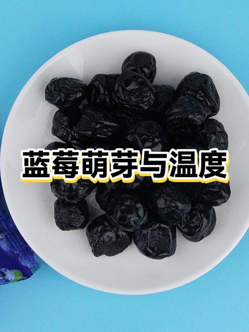 为什么吃蓝莓大便干结缩略图