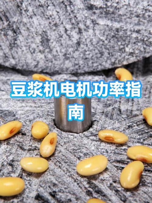 豆浆机的功率一般是多少游戏截图