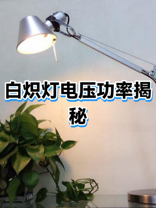 奥普取暖200w灯泡游戏截图