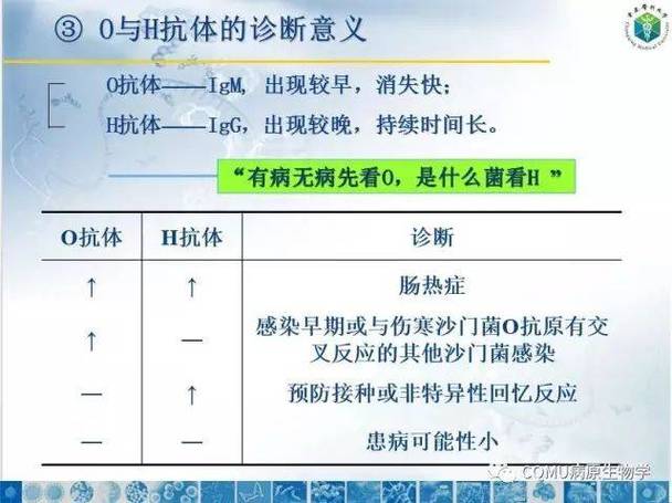 tt升高的临床意义缩略图
