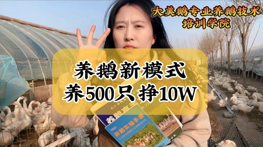 养鹅两百个能赚多少钱缩略图