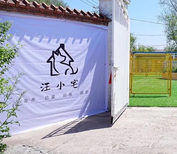 狗狗训练基地怎么收费缩略图