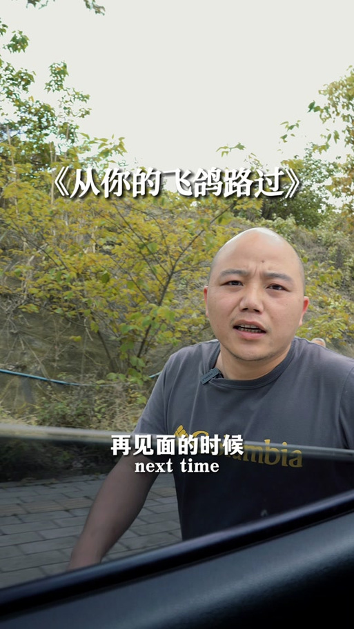 飞鸽传媒是谁的游戏截图