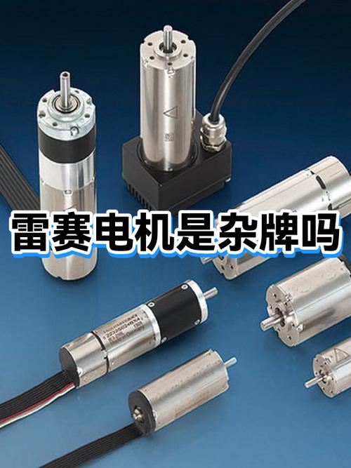 雷赛电机官方网站入口游戏截图