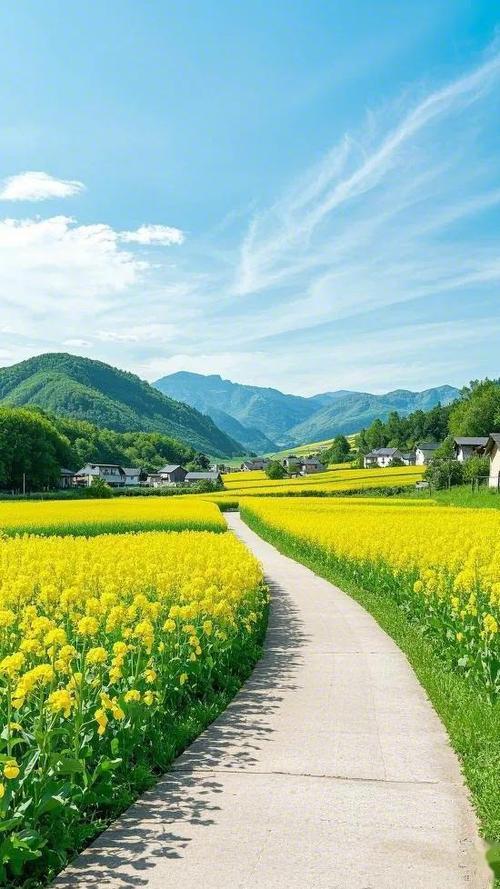 乡村田园风景视频缩略图