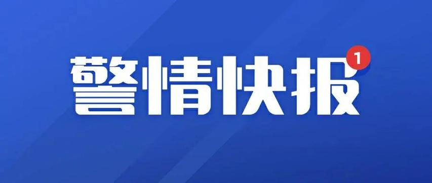 警察出警图游戏截图