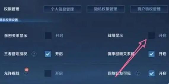 王者营地不让别人看战绩缩略图