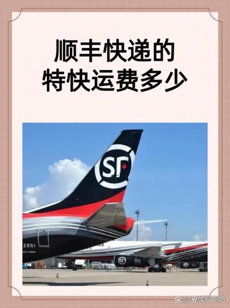 顺丰快递快吗?游戏截图