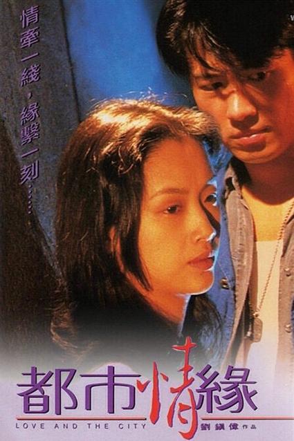 都市情缘目录图标