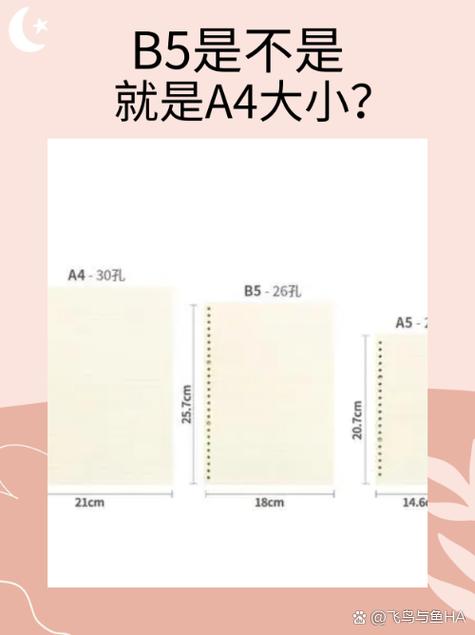 b5纸的尺寸是多少缩略图