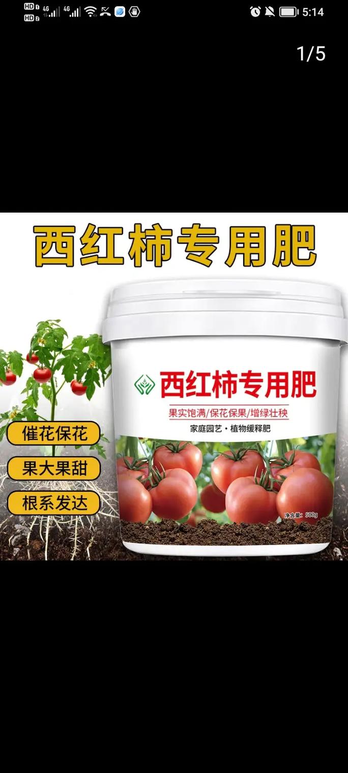 番茄肥料有哪些缩略图