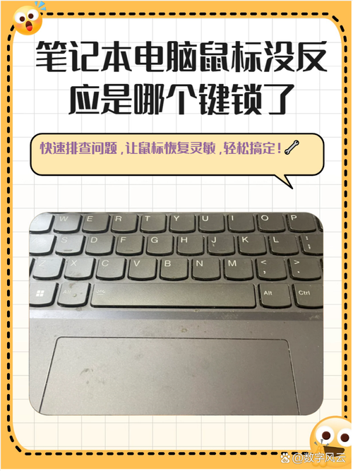 键盘和鼠标没反应是怎么回事缩略图