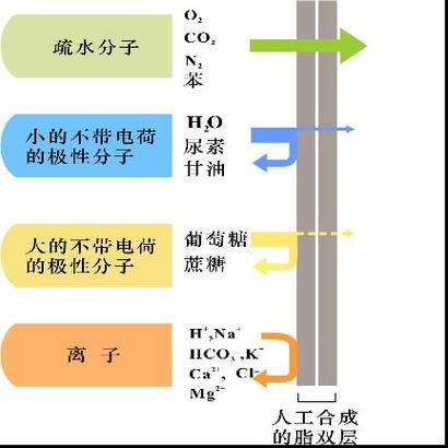手机上自带的膜好还是钢化膜好缩略图