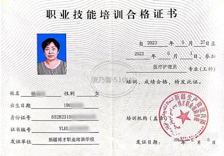 怎么查自己的家政证书游戏截图