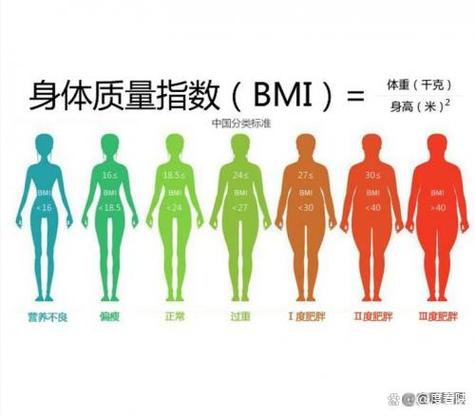滑板和跑步哪个减肥缩略图