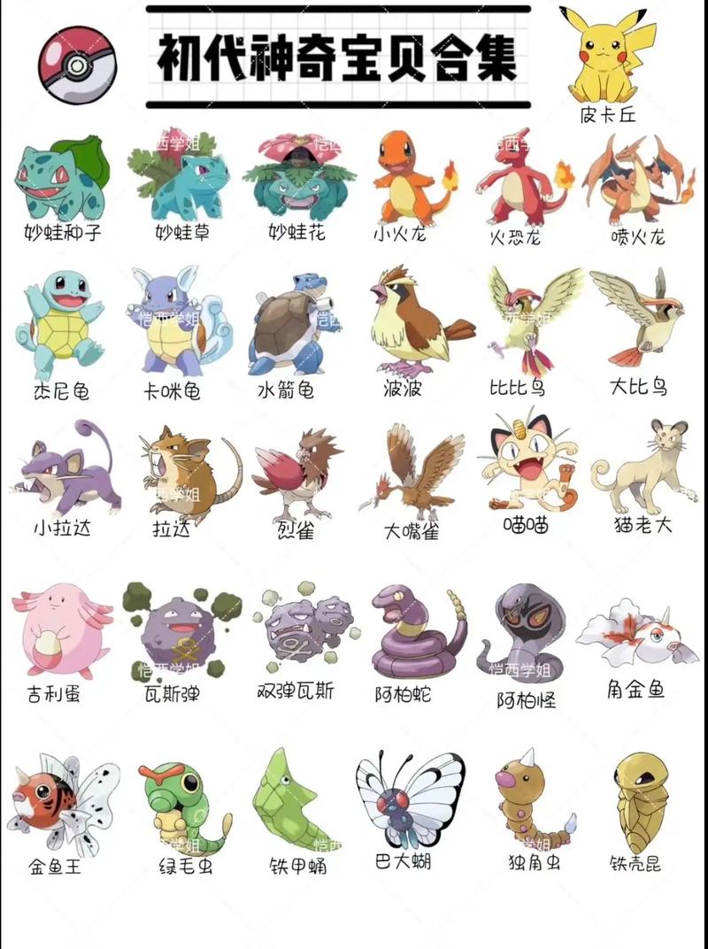 精灵宝可梦第一季1缩略图