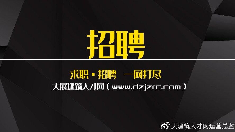 人才网招聘游戏截图