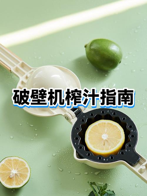 怎样用破壁机榨果汁游戏截图