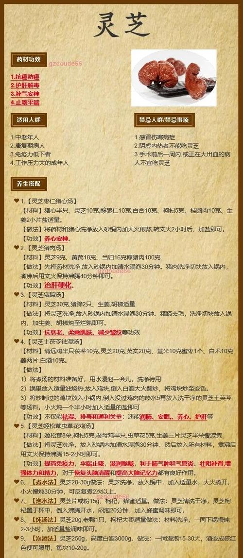 灵芝的功效与作用泡水喝的功效游戏截图