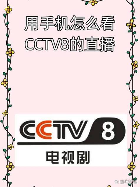 在线观看中央8台直播游戏截图