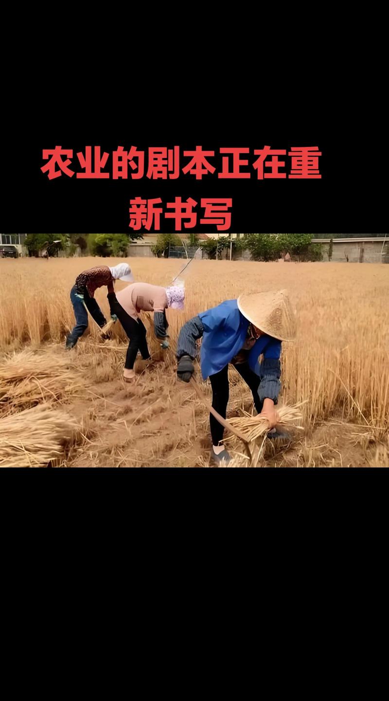 我的小农院缩略图