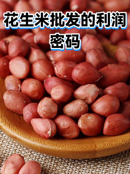 做花生米生意利润怎么样游戏截图