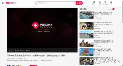 西瓜视频电脑版客户端缩略图