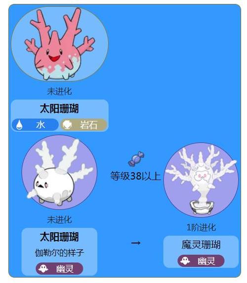剑盾太阳珊瑚和魔灵珊瑚缩略图