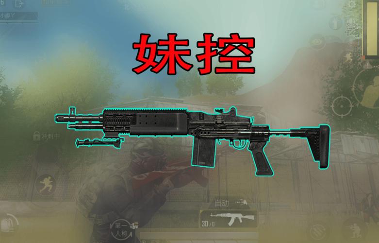 和平精英枪械美化包怎么下载缩略图