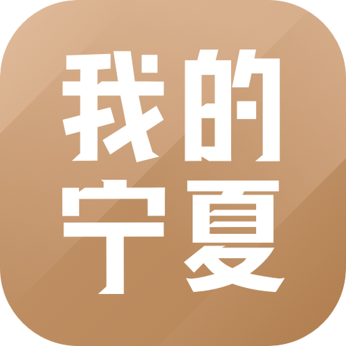 我的宁夏app官方下载游戏截图