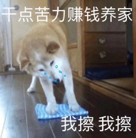 熊猫赚钱多多游戏截图
