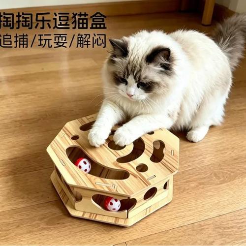 猫咪盒子app官网下载游戏截图