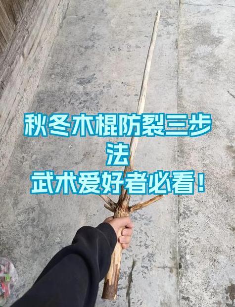 mc指令获得击退的木棍缩略图