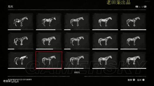 荒野大镖客2有什么动物