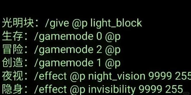 gamemode1是什么指令缩略图
