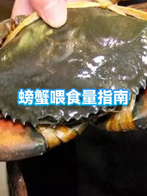 经期时可以吃螃蟹吗游戏截图