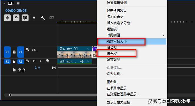 调整视频大小的步骤缩略图