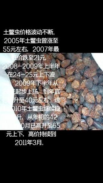 土元多少钱一斤?游戏截图