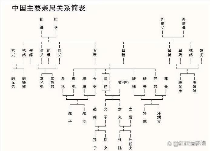 家里亲戚的称呼大全缩略图