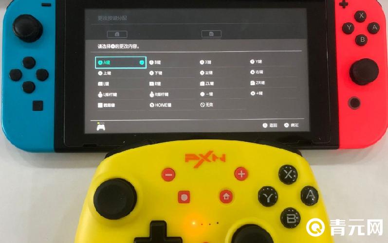 pro手柄连接ns教程游戏截图