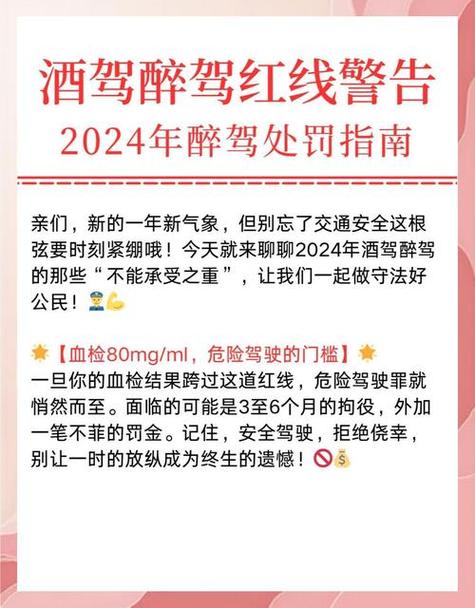 2026酒驾新规和新政策游戏截图