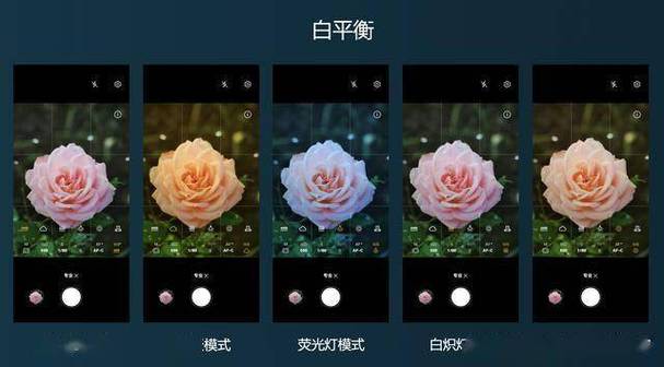 尼康相机白平衡怎么调缩略图