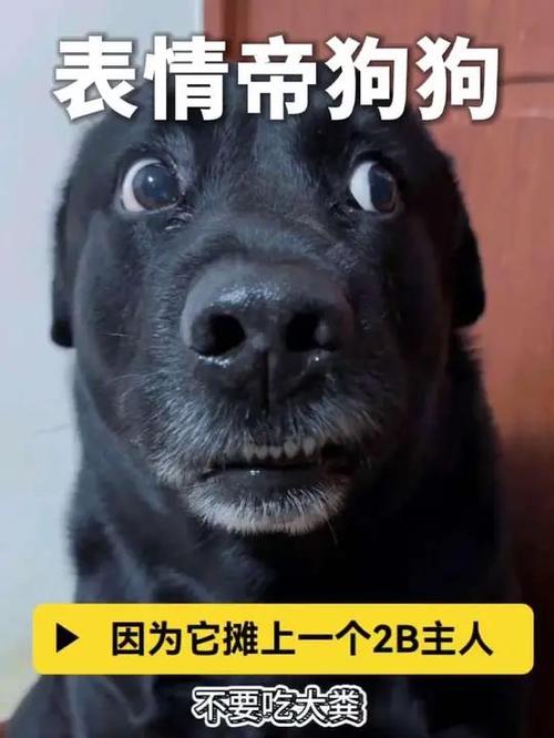 成精了是什么意思缩略图