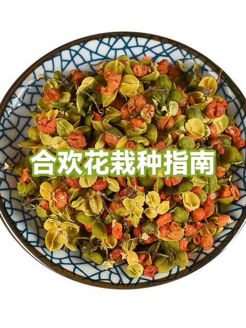 合欢花多久喝一次缩略图