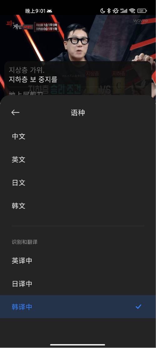 ai字幕翻译游戏截图
