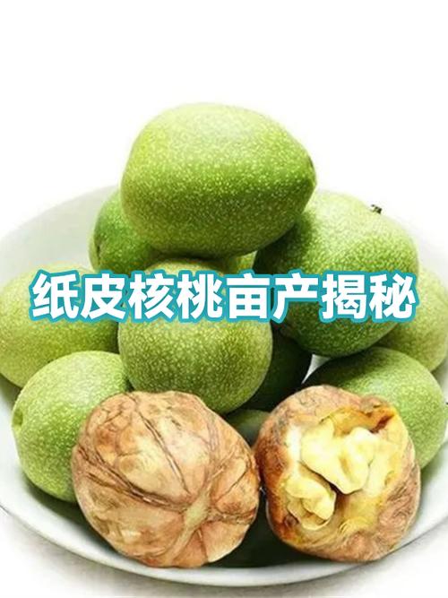 核桃15元一斤正常吗缩略图